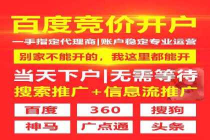 百度竞价账户托管的技巧与策略：从入门到精通的案例解析
